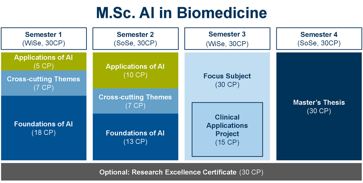 Overview of the AIBM curriculum
